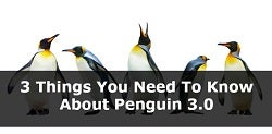 3 Things You Need to Know about Penguin 3.0